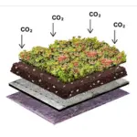 Kohlenstoff Gründach (Produkt-Image)