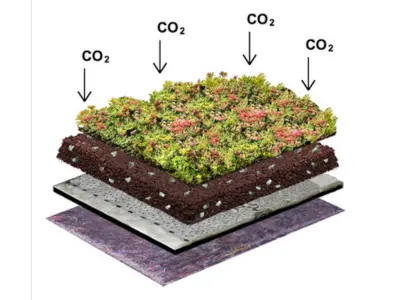 Kohlenstoff Gründach (Menu-Image)