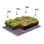 Kohlenstoff Kassetten (Produkt-Image)